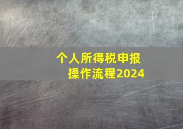 个人所得税申报操作流程2024