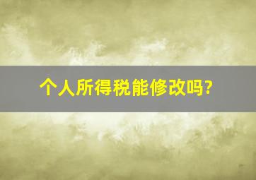 个人所得税能修改吗?