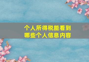 个人所得税能看到哪些个人信息内容