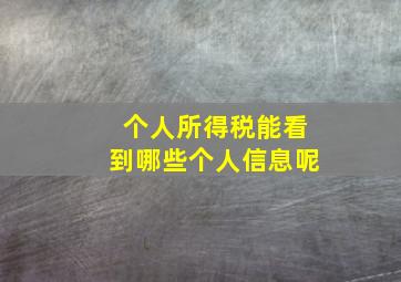 个人所得税能看到哪些个人信息呢