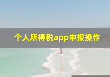 个人所得税app申报操作