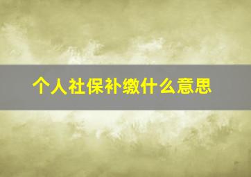 个人社保补缴什么意思