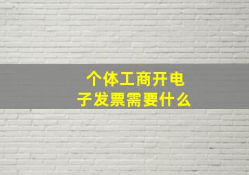 个体工商开电子发票需要什么