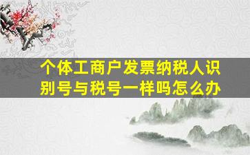 个体工商户发票纳税人识别号与税号一样吗怎么办