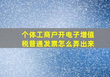 个体工商户开电子增值税普通发票怎么弄出来