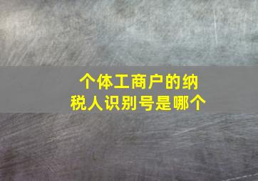 个体工商户的纳税人识别号是哪个