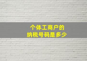 个体工商户的纳税号码是多少