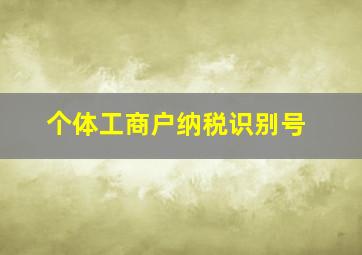 个体工商户纳税识别号