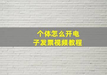 个体怎么开电子发票视频教程