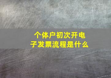 个体户初次开电子发票流程是什么