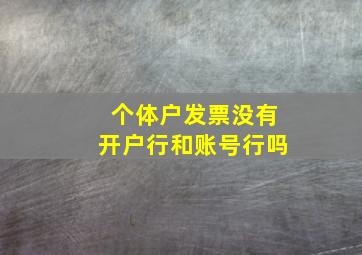 个体户发票没有开户行和账号行吗