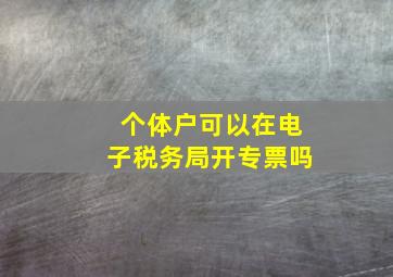 个体户可以在电子税务局开专票吗