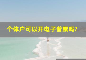 个体户可以开电子普票吗?