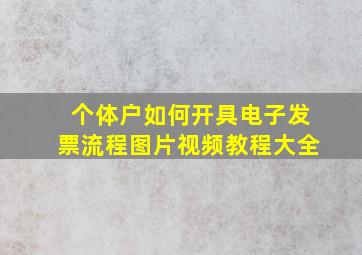 个体户如何开具电子发票流程图片视频教程大全