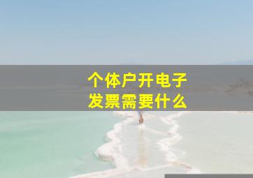 个体户开电子发票需要什么