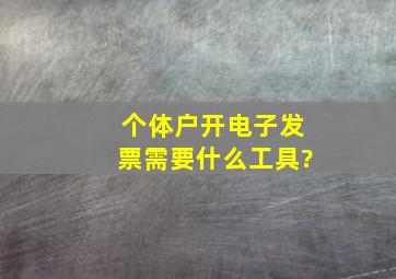 个体户开电子发票需要什么工具?