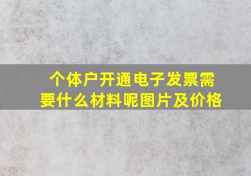 个体户开通电子发票需要什么材料呢图片及价格