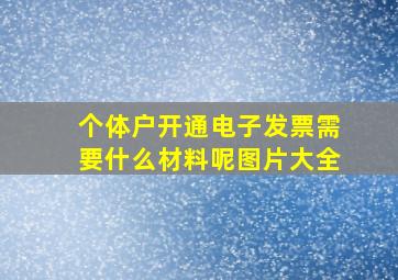 个体户开通电子发票需要什么材料呢图片大全