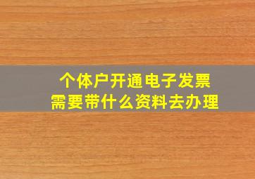 个体户开通电子发票需要带什么资料去办理