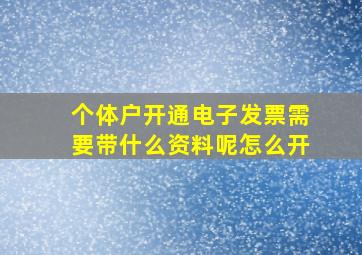 个体户开通电子发票需要带什么资料呢怎么开