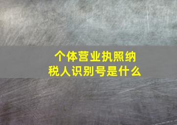 个体营业执照纳税人识别号是什么