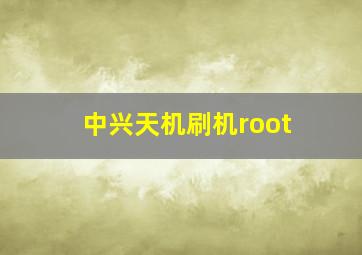 中兴天机刷机root