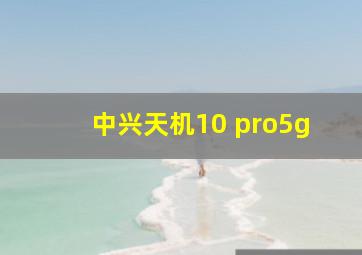 中兴天机10 pro5g