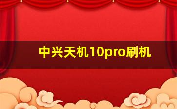 中兴天机10pro刷机