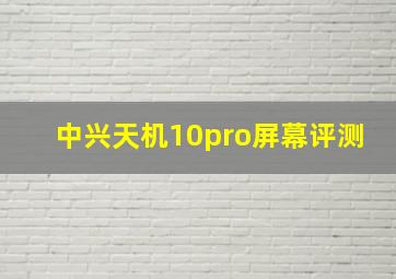 中兴天机10pro屏幕评测