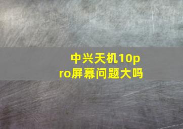 中兴天机10pro屏幕问题大吗