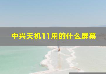 中兴天机11用的什么屏幕