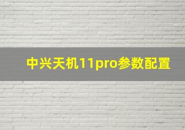 中兴天机11pro参数配置