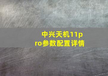 中兴天机11pro参数配置详情