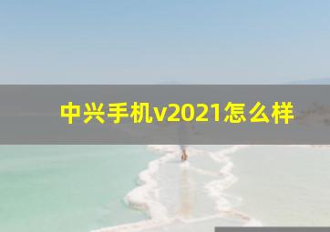 中兴手机v2021怎么样