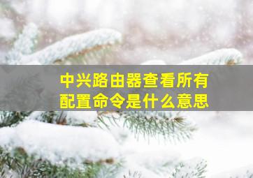 中兴路由器查看所有配置命令是什么意思