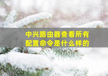 中兴路由器查看所有配置命令是什么样的