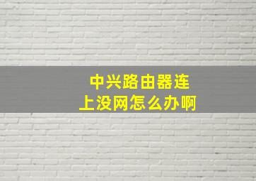 中兴路由器连上没网怎么办啊