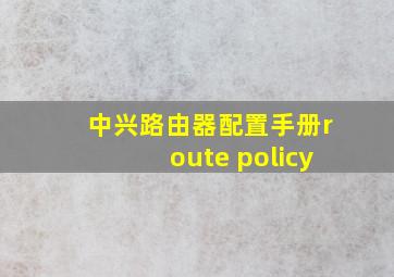 中兴路由器配置手册route policy