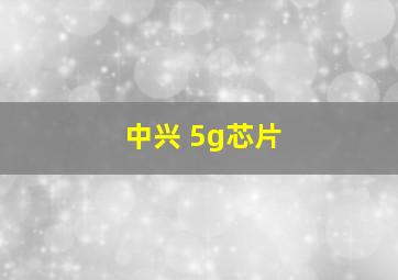 中兴 5g芯片