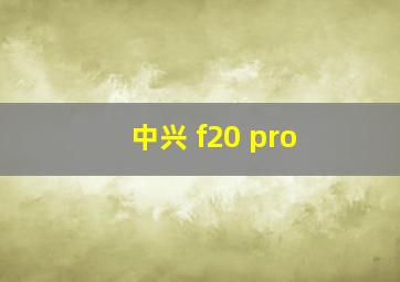 中兴 f20 pro