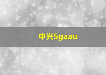 中兴5gaau