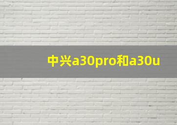 中兴a30pro和a30u