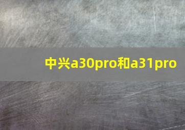 中兴a30pro和a31pro