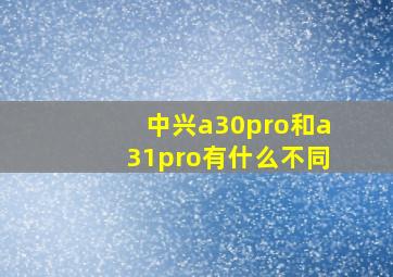 中兴a30pro和a31pro有什么不同