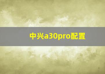 中兴a30pro配置