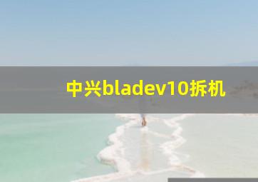 中兴bladev10拆机