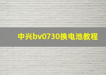 中兴bv0730换电池教程