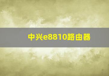 中兴e8810路由器