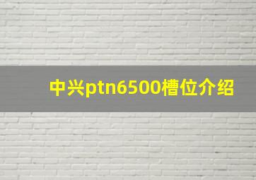 中兴ptn6500槽位介绍