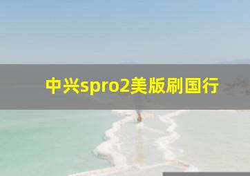 中兴spro2美版刷国行